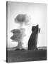 The Stokes Shot Was a 19 Kiloton Explosion Detonated While Suspended from Barrage Balloons-null-Stretched Canvas