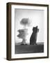 The Stokes Shot Was a 19 Kiloton Explosion Detonated While Suspended from Barrage Balloons-null-Framed Photo