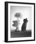 The Stokes Shot Was a 19 Kiloton Explosion Detonated While Suspended from Barrage Balloons-null-Framed Photo