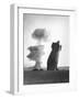 The Stokes Shot Was a 19 Kiloton Explosion Detonated While Suspended from Barrage Balloons-null-Framed Photo