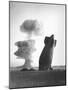 The Stokes Shot Was a 19 Kiloton Explosion Detonated While Suspended from Barrage Balloons-null-Mounted Photo