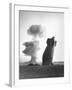 The Stokes Shot Was a 19 Kiloton Explosion Detonated While Suspended from Barrage Balloons-null-Framed Photo