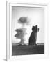 The Stokes Shot Was a 19 Kiloton Explosion Detonated While Suspended from Barrage Balloons-null-Framed Photo