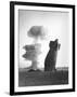 The Stokes Shot Was a 19 Kiloton Explosion Detonated While Suspended from Barrage Balloons-null-Framed Photo