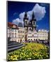 The Stone Bell House and Church of our Lady at Tyn, Old Town Square, Prague, Czech Republic-null-Mounted Art Print