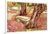 The Stone Bench in the Garden of Saint-Paul Hospital-Vincent van Gogh-Framed Art Print