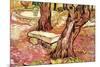 The Stone Bench in the Garden of Saint-Paul Hospital-Vincent van Gogh-Mounted Premium Giclee Print