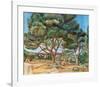 The Stone Pine-Andre Derain-Framed Collectable Print