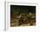 The Stonebreakers (Oil)-Gustave Courbet-Framed Giclee Print