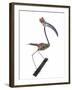 The Stork, 2009-Lawrie Simonson-Framed Giclee Print