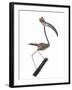 The Stork, 2009-Lawrie Simonson-Framed Giclee Print