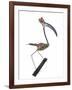 The Stork, 2009-Lawrie Simonson-Framed Giclee Print