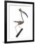 The Stork, 2009-Lawrie Simonson-Framed Giclee Print