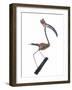 The Stork, 2009-Lawrie Simonson-Framed Giclee Print