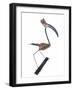 The Stork, 2009-Lawrie Simonson-Framed Giclee Print