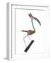 The Stork, 2009-Lawrie Simonson-Framed Giclee Print