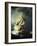 The Storm on the Sea of Galilee-Rembrandt van Rijn-Framed Giclee Print