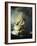 The Storm on the Sea of Galilee-Rembrandt van Rijn-Framed Giclee Print