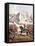 The Storming of Magdala, Ethiopia, 13 April 1868-null-Framed Stretched Canvas