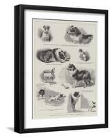 The Story of a Clever Terrier's Stratagem-null-Framed Giclee Print