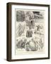 The Story of a Cup Challenger, a Warning to Millionaire Yacht Owners-William Ralston-Framed Giclee Print