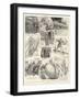 The Story of a Cup Challenger, a Warning to Millionaire Yacht Owners-William Ralston-Framed Giclee Print