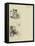 The Story of a Nurse-Mary L. Gow-Framed Stretched Canvas