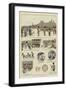The Story of a Regimental Goat-null-Framed Giclee Print