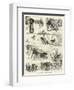 The Story of a Seaside Elopement-null-Framed Giclee Print