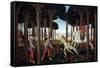 The Story of Nastagio Degli Onesti (First Episode), 1483 (From Boccaccio's Decameron)-Sandro Botticelli-Framed Stretched Canvas