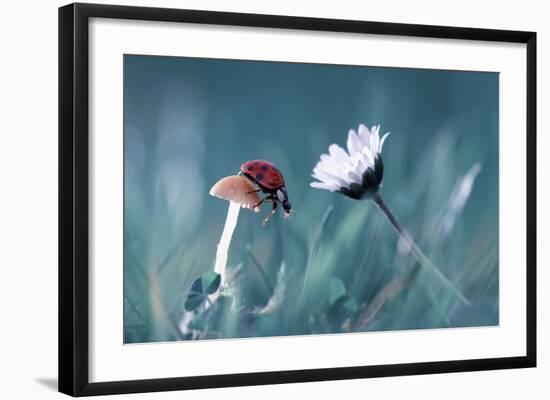 The Story Of The Lady Bug That Tries To Convice The Mushroom To Have A Date With The Beautiful Dais-Fabien Bravin-Framed Giclee Print