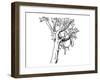 The Story of The Three Little Pigs-Leslie Brooke-Framed Art Print