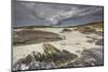The Strand at Derrynane House, Ring of Kerry, County Kerry, Munster, Republic of Ireland, Europe-Nigel Hicks-Mounted Photographic Print