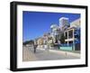 The Strand, Beach Houses, Santa Monica, Los Angeles, California, USA, North America-Wendy Connett-Framed Photographic Print