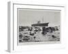 The Stranded Paris at Low Water on the Lowland Reef of the Manacles-null-Framed Giclee Print