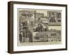 The Strange Adventures of Two Runaway Elephants in Kentish Town, London-null-Framed Giclee Print
