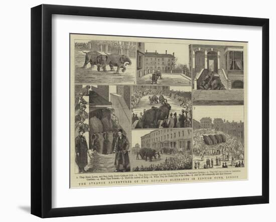 The Strange Adventures of Two Runaway Elephants in Kentish Town, London-null-Framed Giclee Print