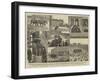 The Strange Adventures of Two Runaway Elephants in Kentish Town, London-null-Framed Giclee Print