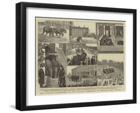 The Strange Adventures of Two Runaway Elephants in Kentish Town, London-null-Framed Giclee Print