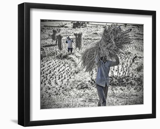The Strawbearer-Steven Boone-Framed Photographic Print