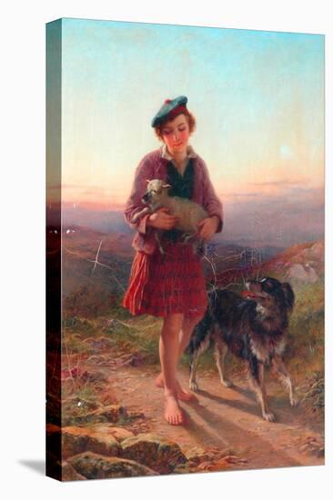 The Strayed Lamb, 1863-John Adam P. Houston-Stretched Canvas