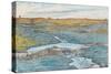 The Stream on Alvaret, 1909-Nils Kreuger-Stretched Canvas