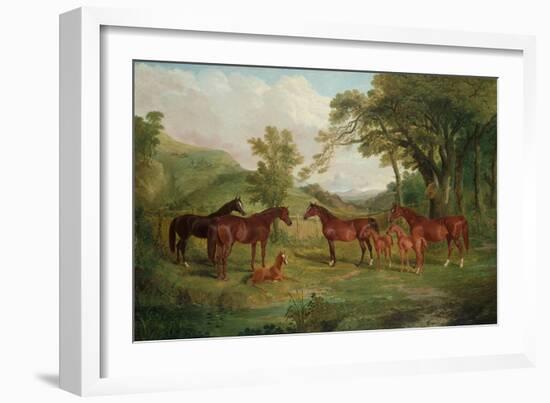 The Streatlam Stud, Mares and Foals, 1836-John Frederick Herring I-Framed Giclee Print