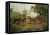 The Streatlam Stud, Mares and Foals, 1836-John Frederick Herring I-Framed Stretched Canvas