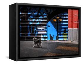 The Street Cats.-Juan Luis-Framed Stretched Canvas