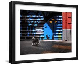 The Street Cats.-Juan Luis-Framed Photographic Print