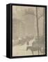 The Street, Design for a Poster (Photogravure)-Alfred Stieglitz-Framed Stretched Canvas