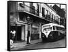 The Streetcar Named Desire is Now a Bus-null-Framed Stretched Canvas