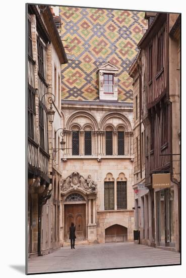 The Streets of Old Dijon and Hotel Aubriot, Dijon, Burgundy, France, Europe-Julian Elliott-Mounted Photographic Print