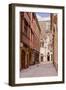 The Streets of Old Dijon and Hotel Aubriot, Dijon, Burgundy, France, Europe-Julian Elliott-Framed Photographic Print